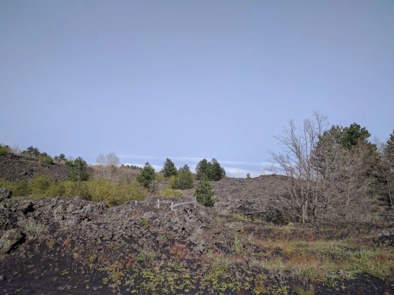 Etna Bike Tours