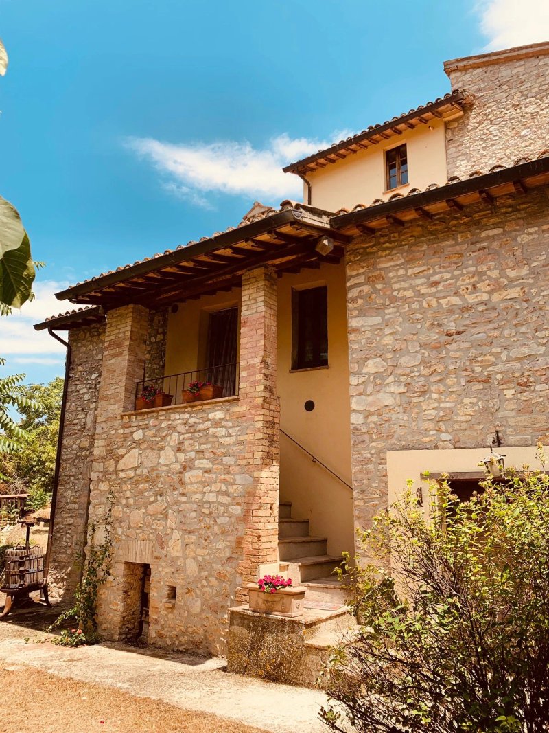 Fattoria Del Quondam