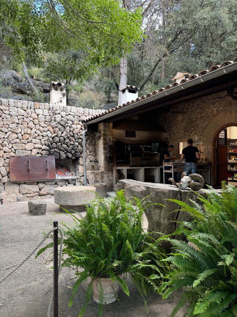 Ses Coves