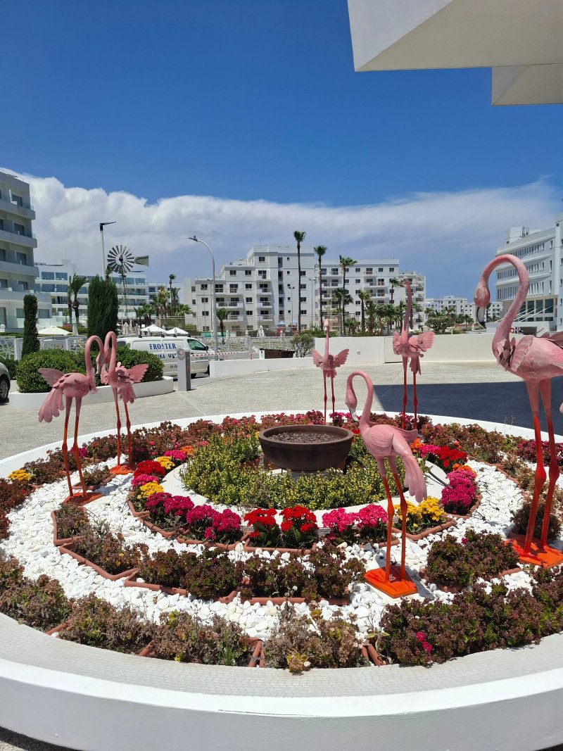 Flamingo Paradise Beach Hotel