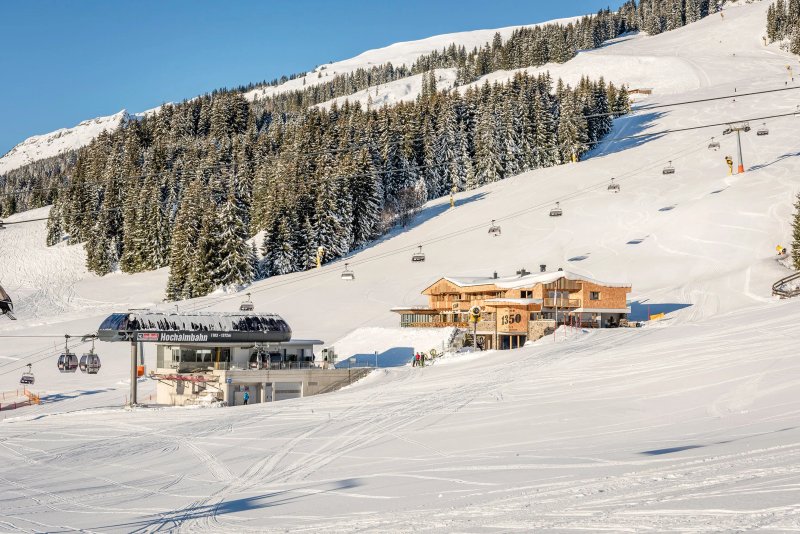 1350 - Die Alm über Saalbach