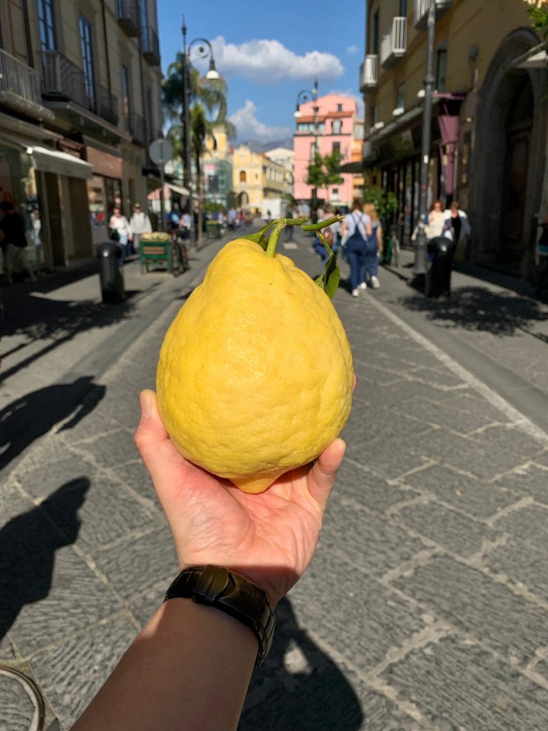 Gelateria Primavera