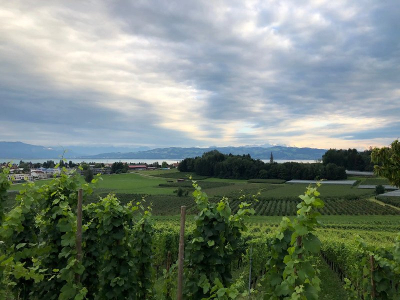 Pinot Die Weinbar
