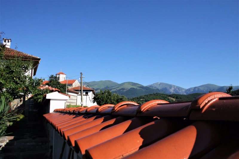 Iliikova House