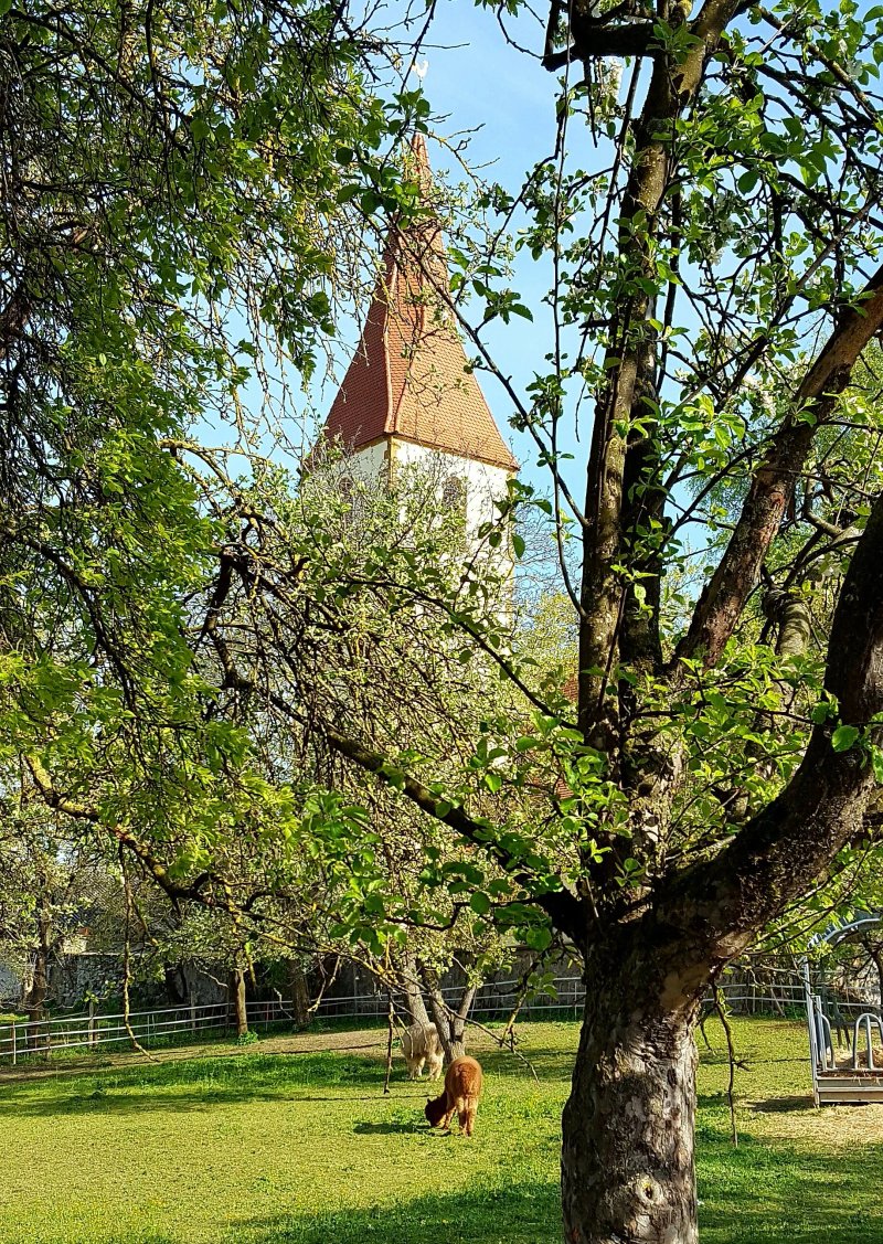 Landhotel Osswald