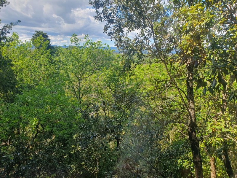 Les Cabanes Dans Les Bois  Logis Hôtel