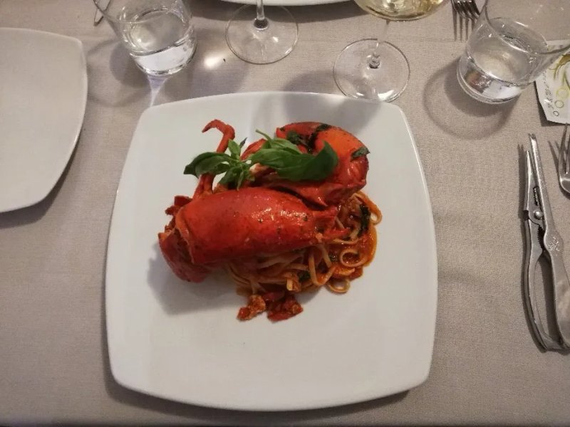 Cervo