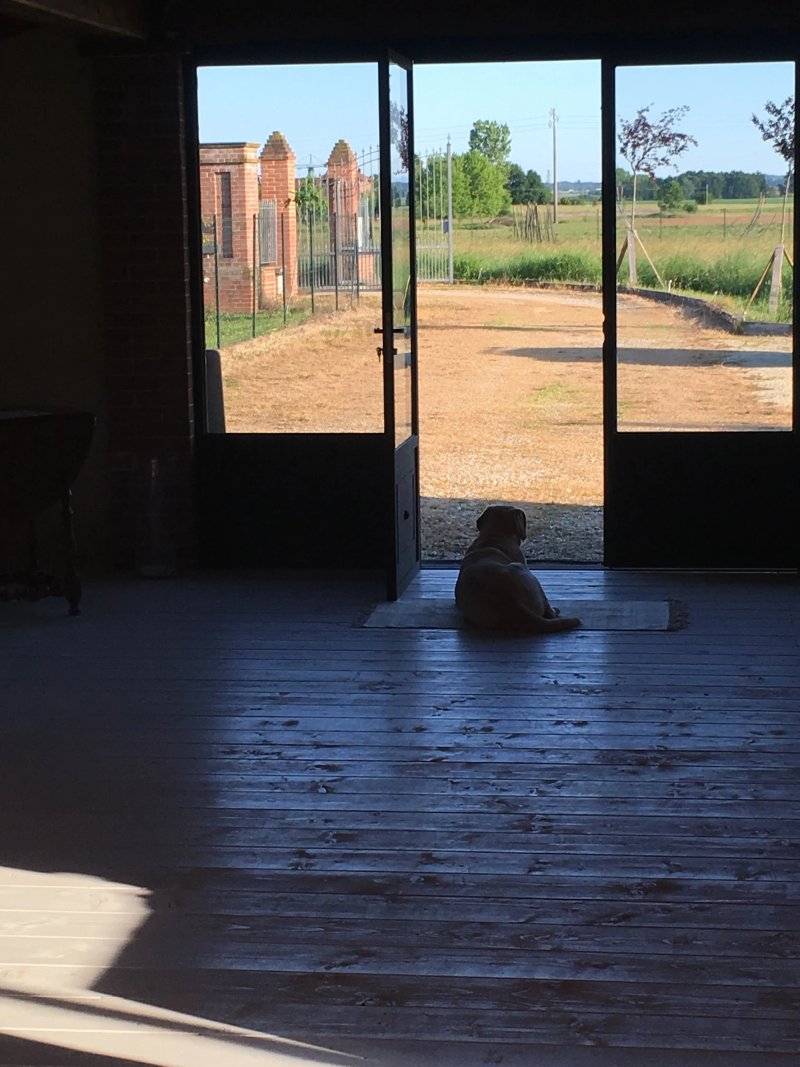 B&B Il mio gelso