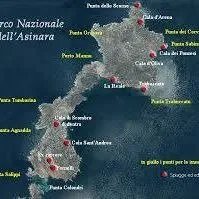 Asinara's Latin Sails