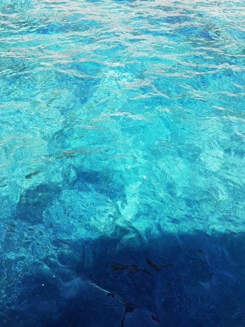 La Sibilla - Day Excursions and Boat Rentals