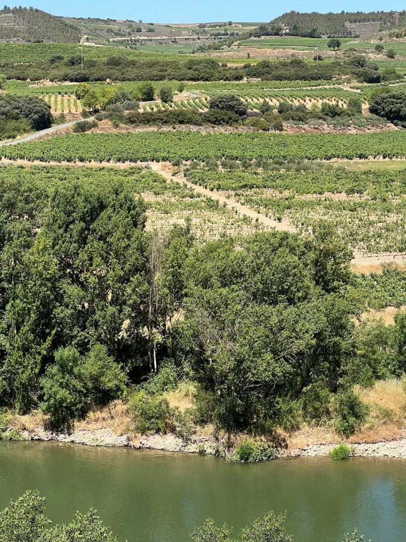 Rioja Like A Native