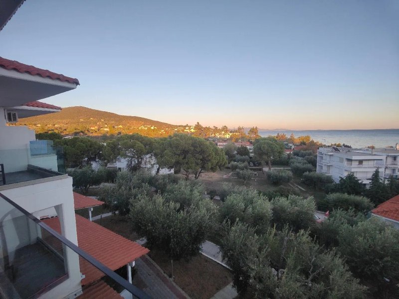 Sonia Resort