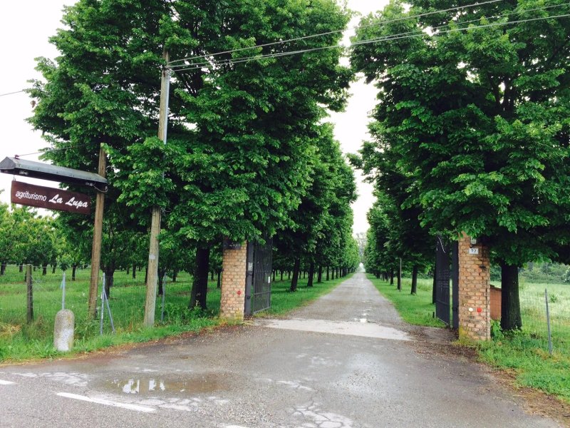 Agriturismo La Lupa