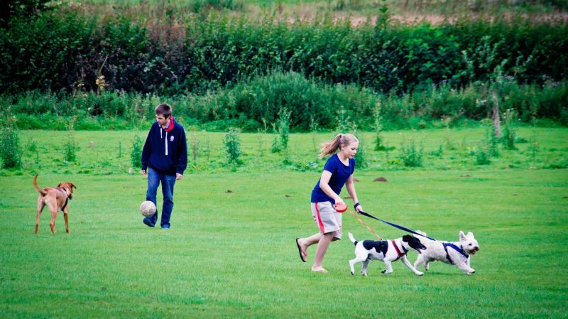 Andrewshayes Holiday Park