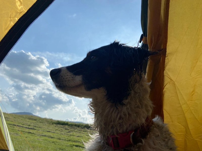 Chapel House Farm Campsite