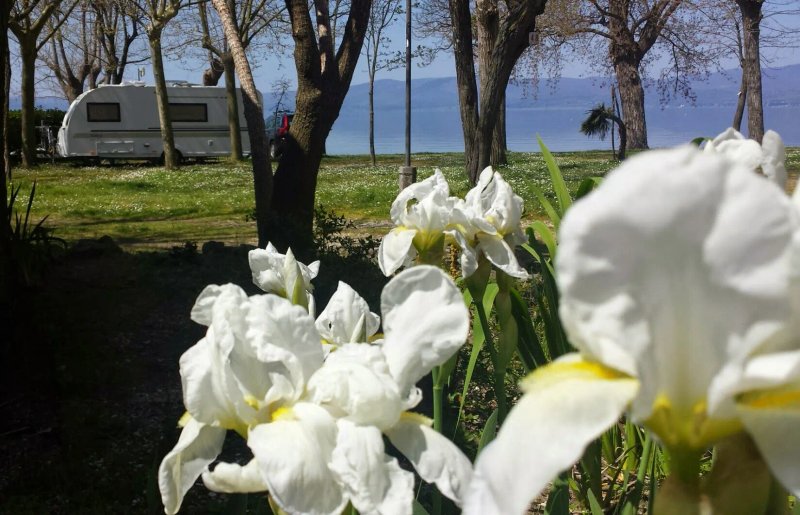 Parco del Lago Glamping & Lodges