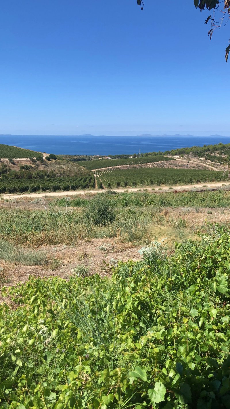 Tenuta Asinara Bistrot & Degustazione