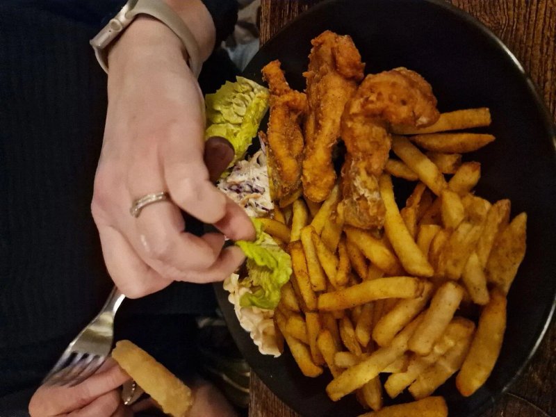 Cattle & Co