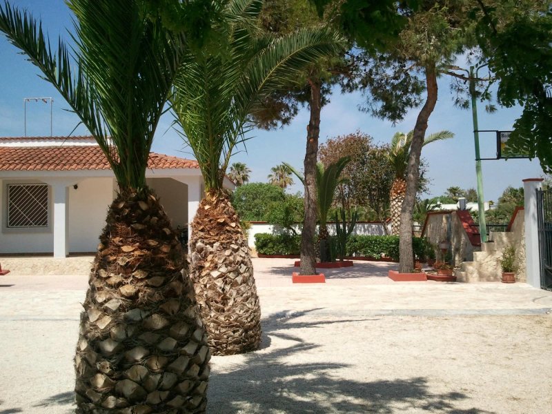 B&B Poseidon