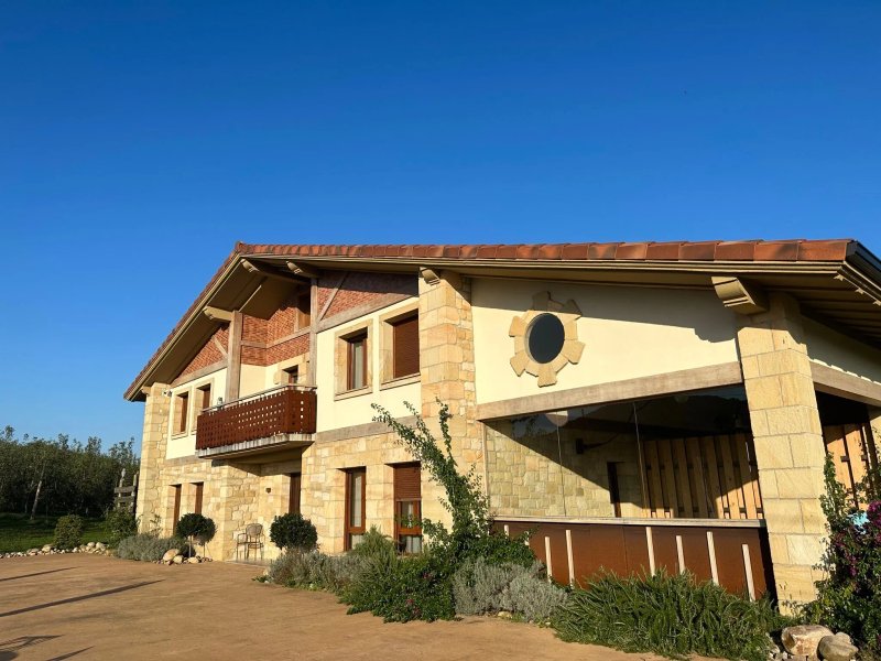 Olivi 1948
