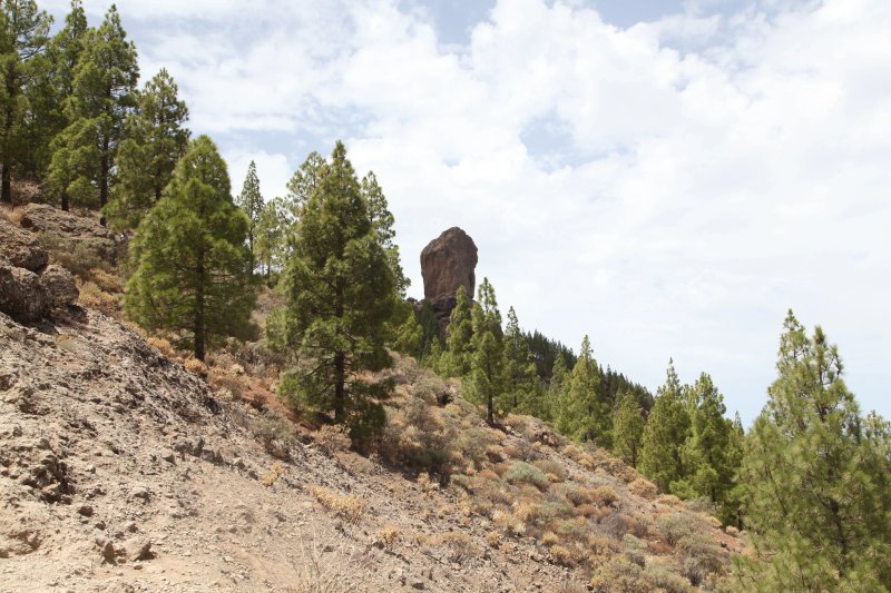 Roque Nublo