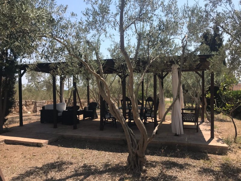 Agrotourism Finca Son Estrany