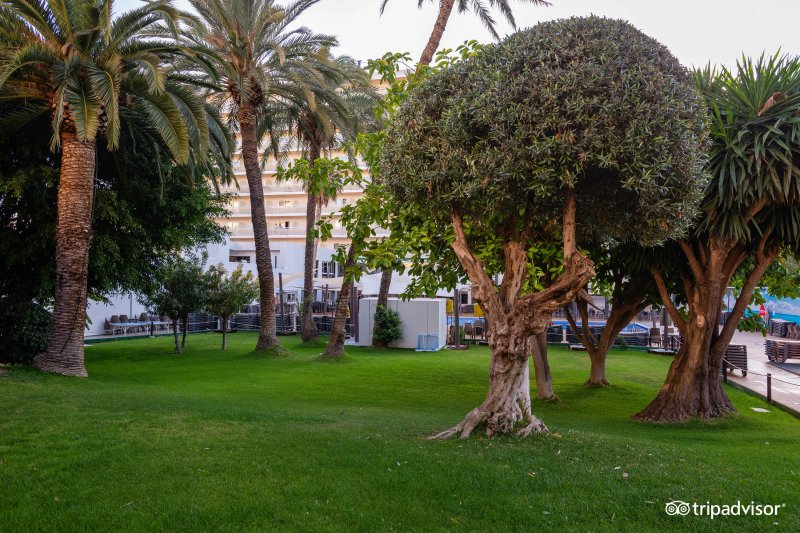Hotel Helios Benidorm