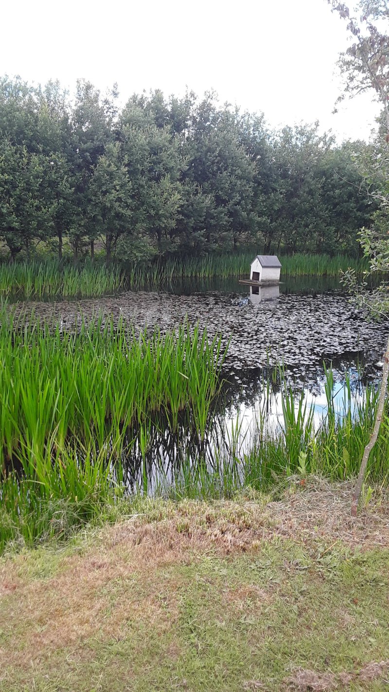 Lucketts Farm Campsite