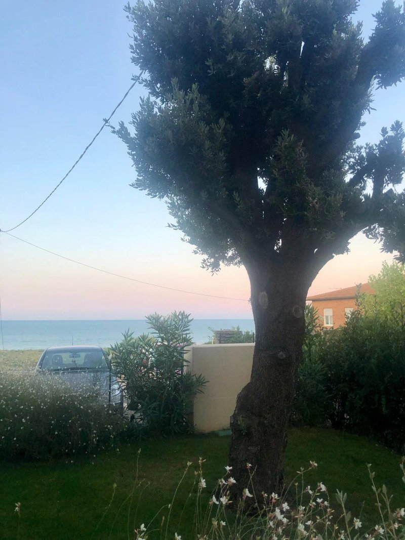 Numana View