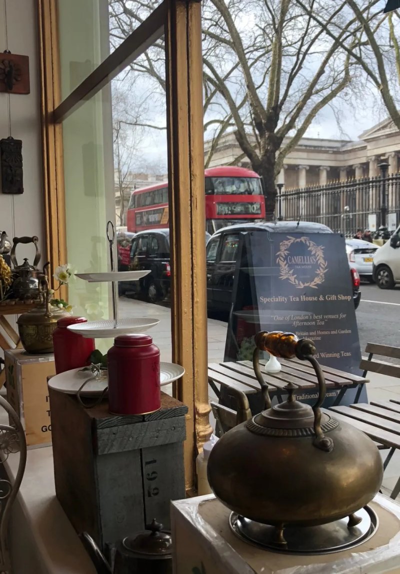 Camellia's Tea House