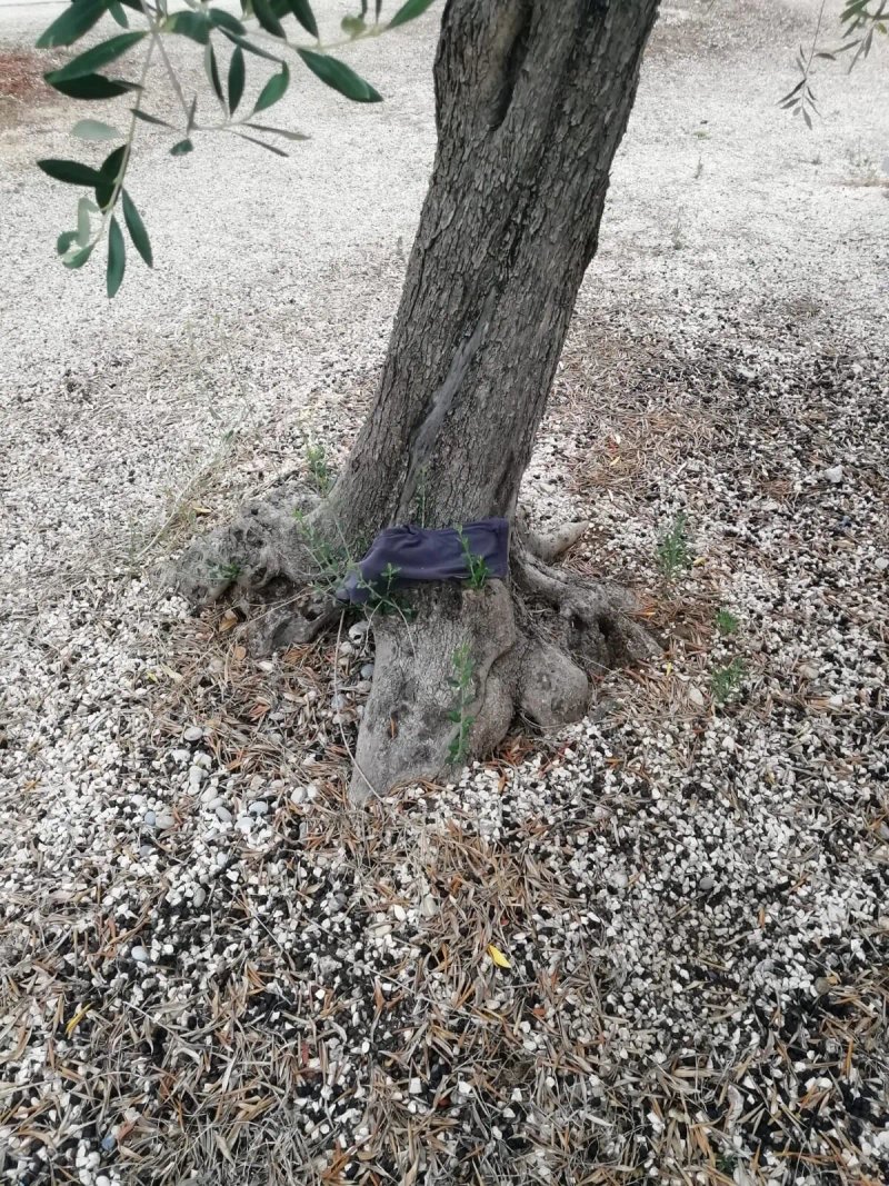 Villaggio Riccio Mattinata