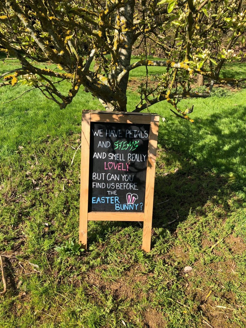 Limes Farm Shop and Tea Room