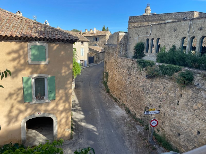 Chateau de Rochegude