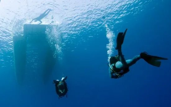 M.Rota Diving