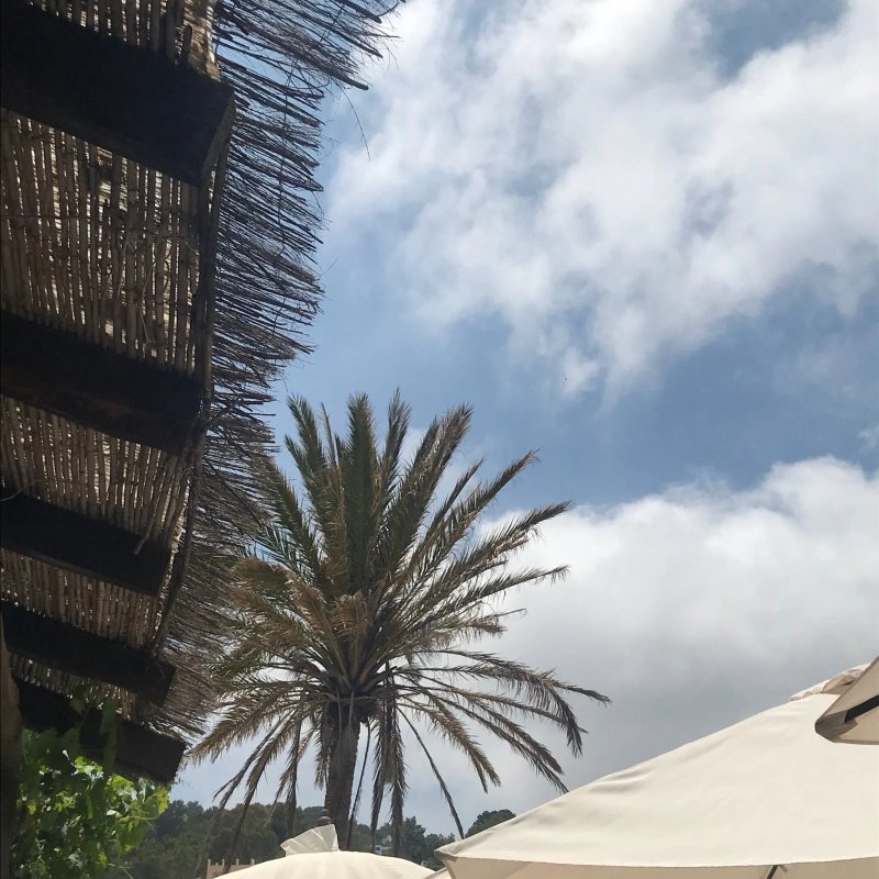 Bon Sol
