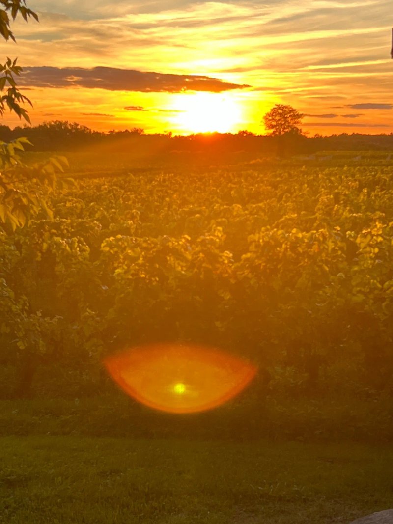 Clos De La Barbanne