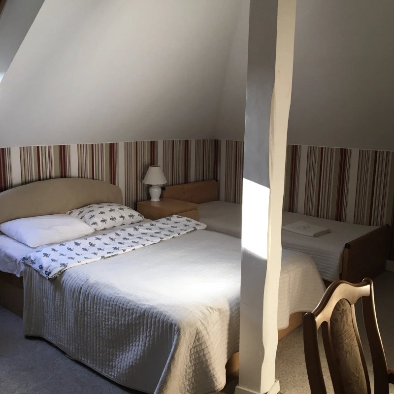 B&B Kamelia
