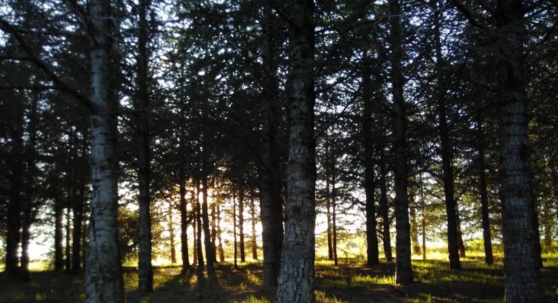 Le Domaine de la Vitarelle Glamping