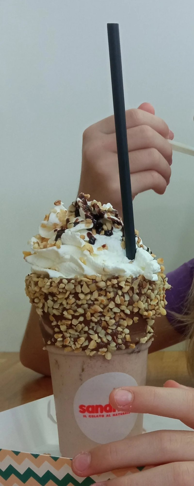Sandrino - Il Gelato al Naturale