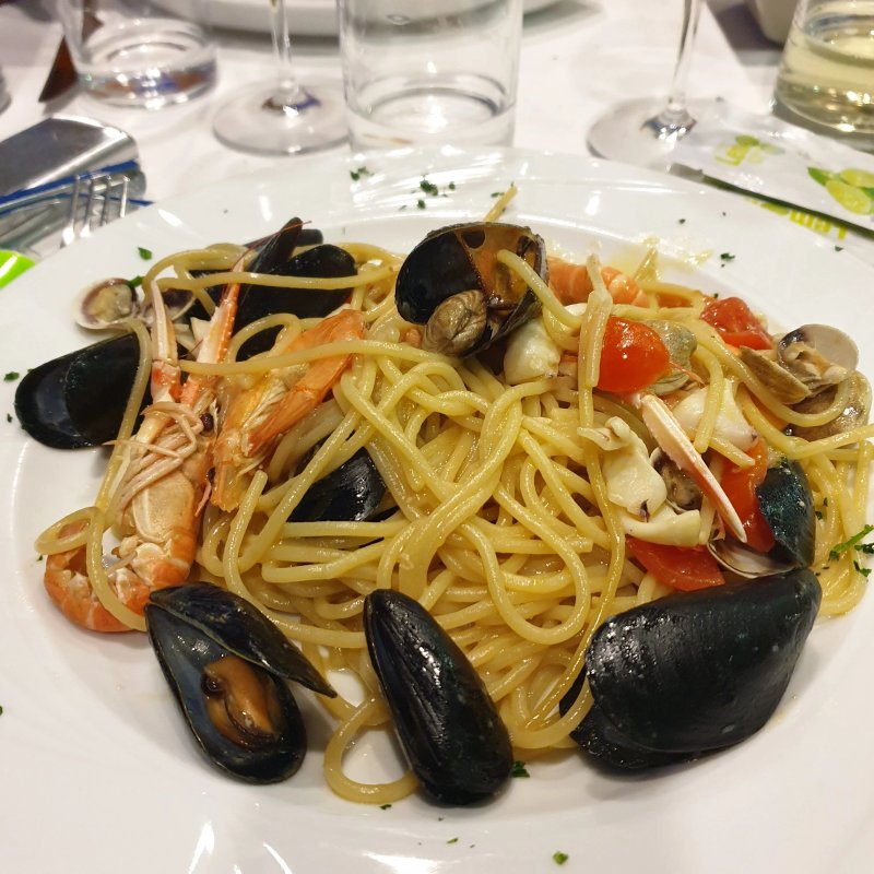 Il Coccodrillo