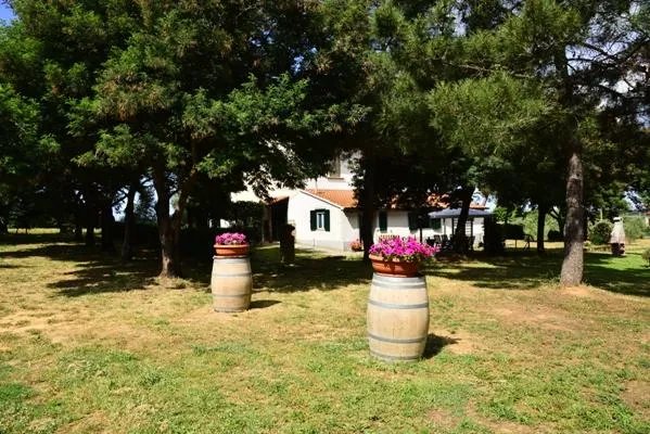 Agriturismo San Luigi