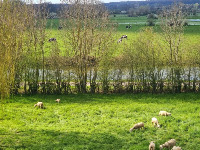 Il Etait Une Ferme
