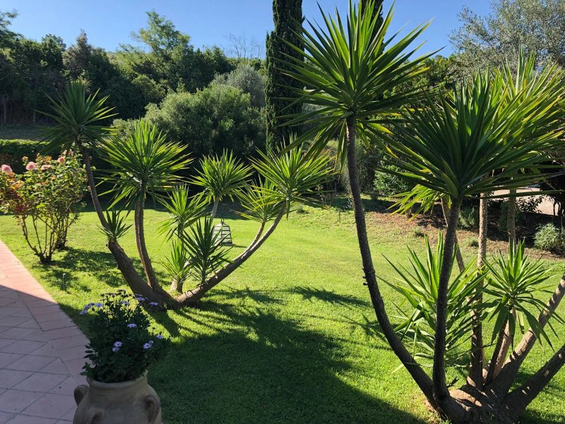 Casale Farnesiana B&B