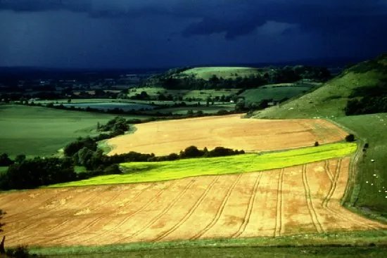 Cadbury Castle