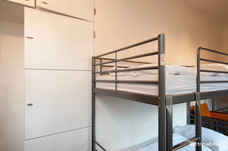 The Walrus Hostel