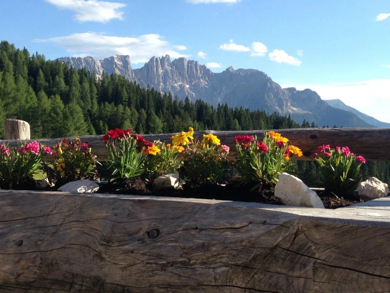 Malga Baita Messnerjoch
