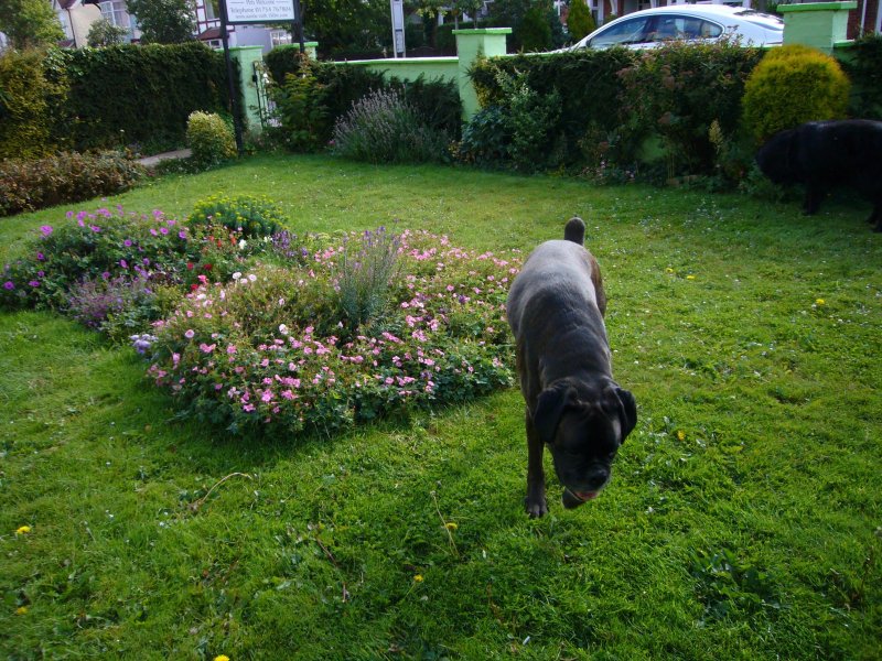 Auntie Ruth's Guest House