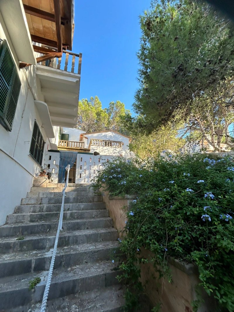 Hostal Los Pinos