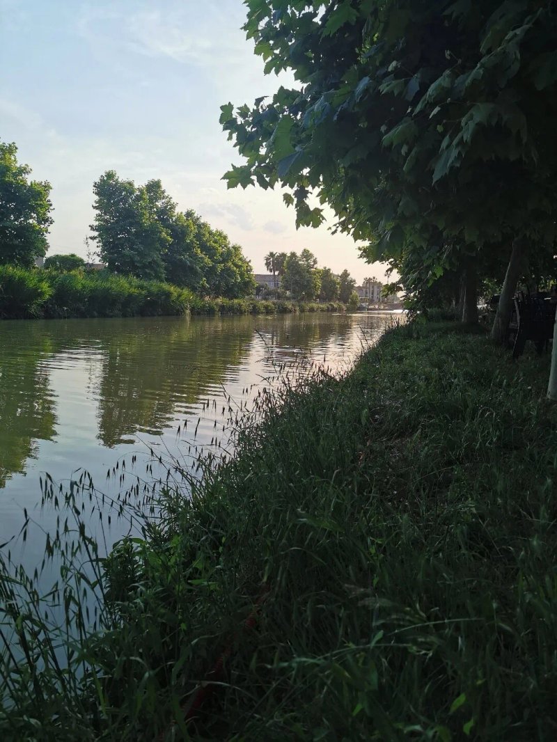 L'O..Berge du Canal
