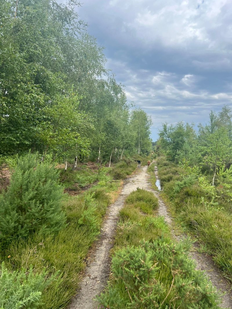 Graffham Campsite